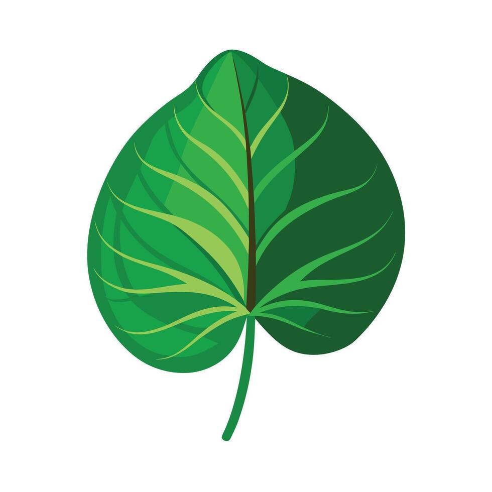 Realistic Beautiful Leaves Illustration vector