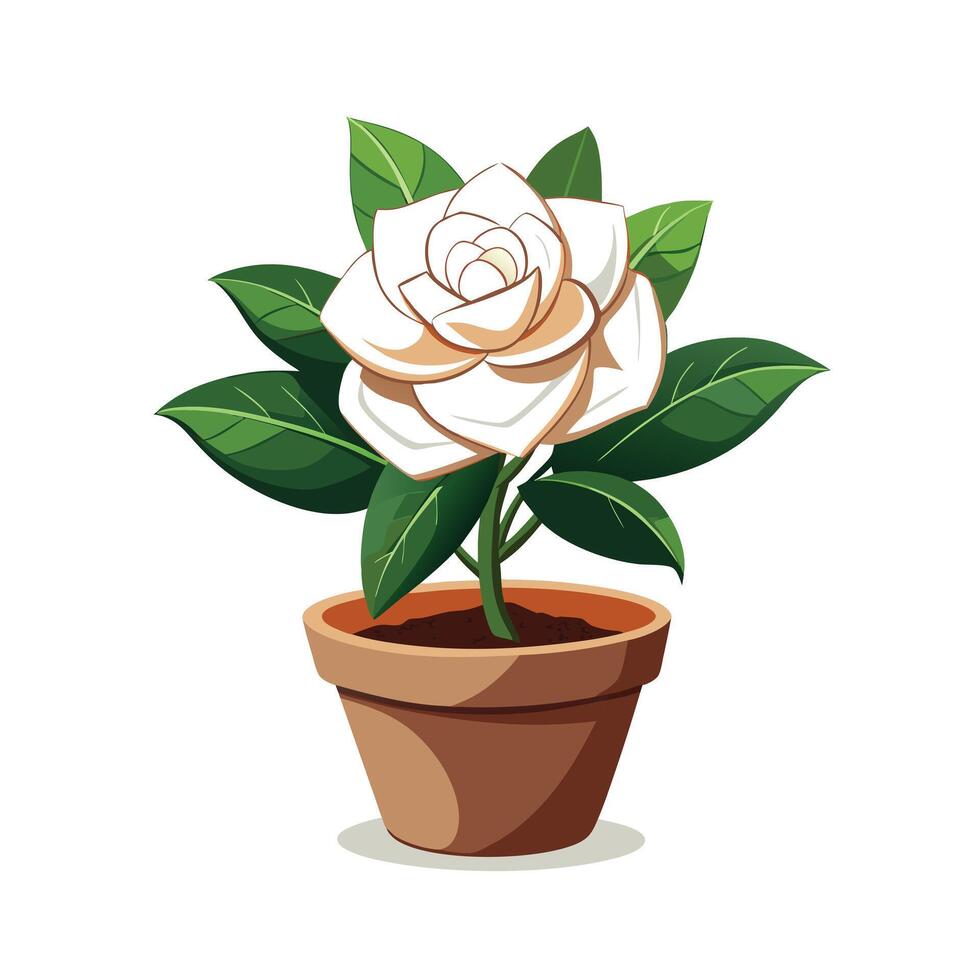 Beautiful Flowerpot Houseplant Illustration vector