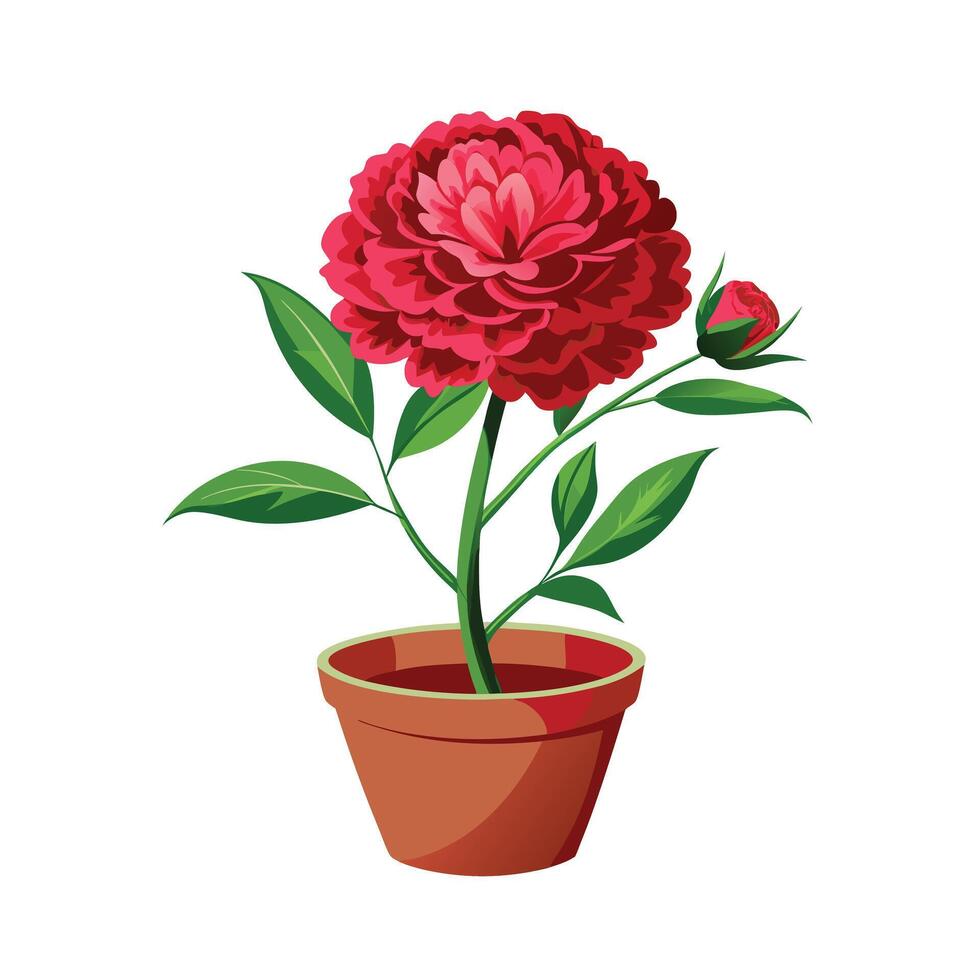 Beautiful Flowerpot Houseplant Illustration vector