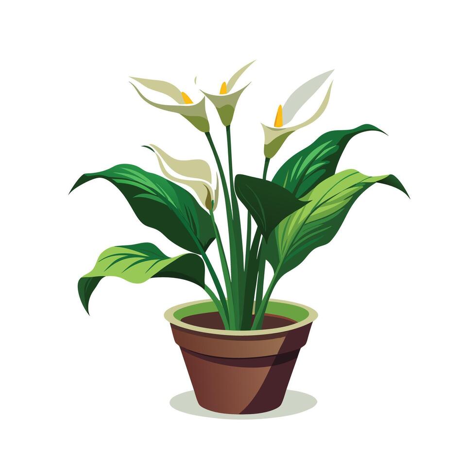 Beautiful Flowerpot Houseplant Illustration vector