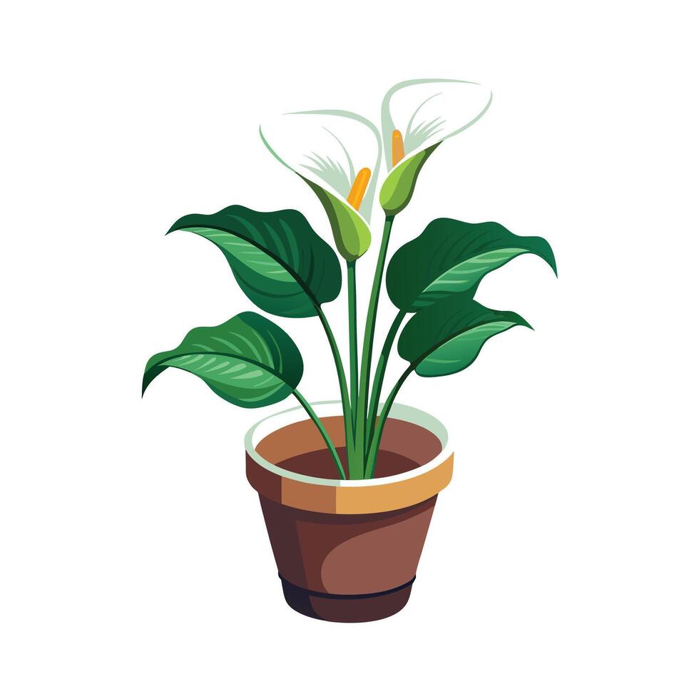 Beautiful Flowerpot Houseplant Illustration vector