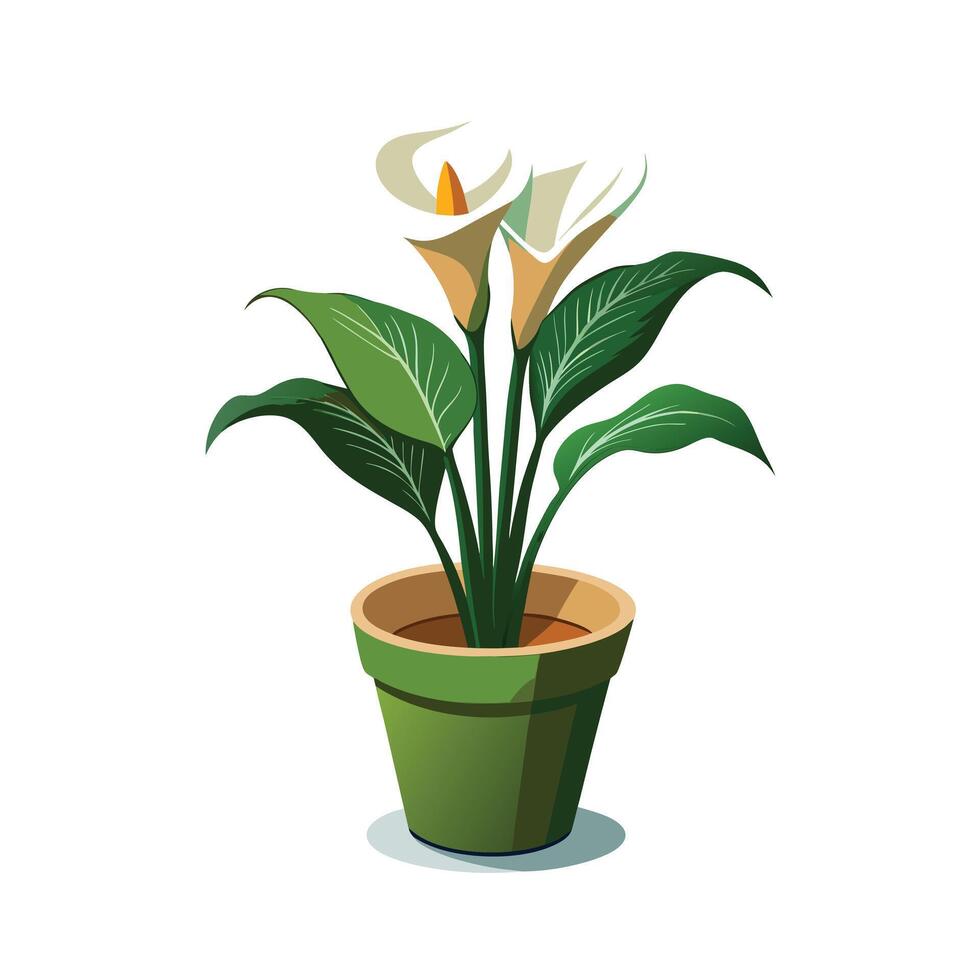 Beautiful Flowerpot Houseplant Illustration vector