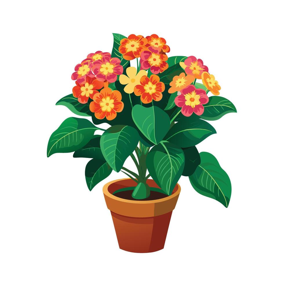 Beautiful Flowerpot Houseplant Illustration vector
