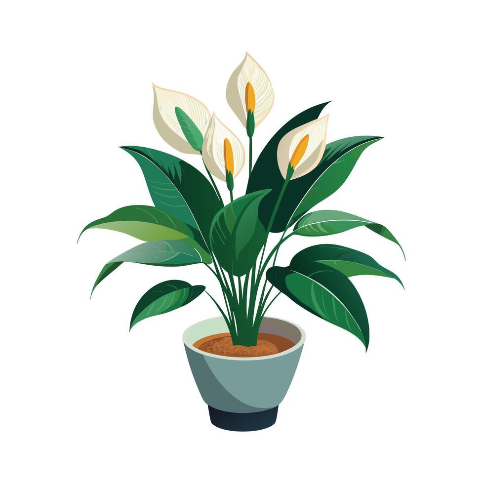 Beautiful Flowerpot Houseplant Illustration vector