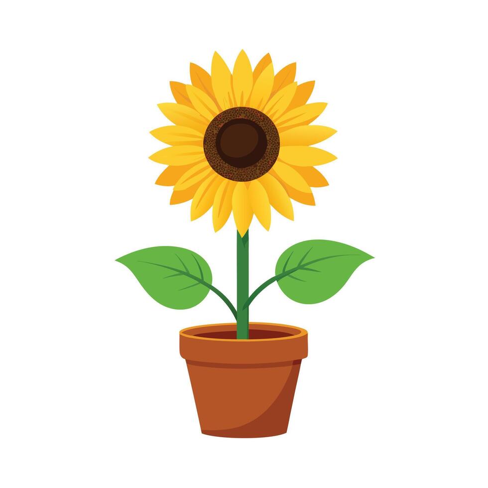 Beautiful Flowerpot Houseplant Illustration vector