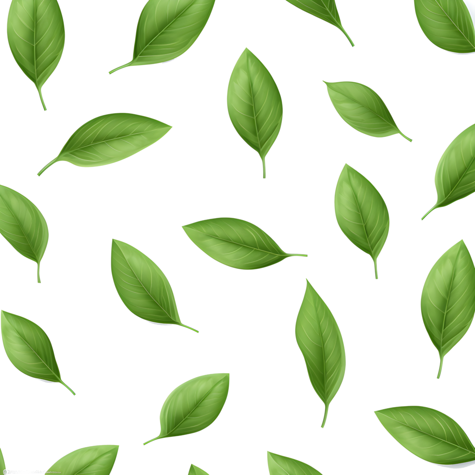 Leaves pattern on transparent background png