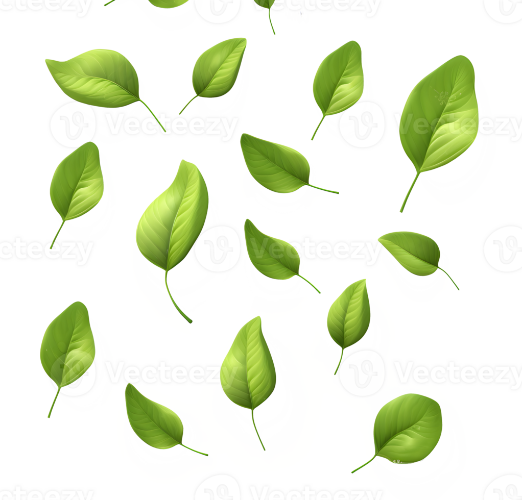 Leaves pattern on transparent background png