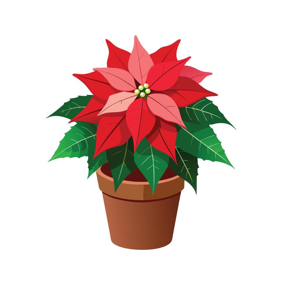 Beautiful Flowerpot Houseplant Illustration vector