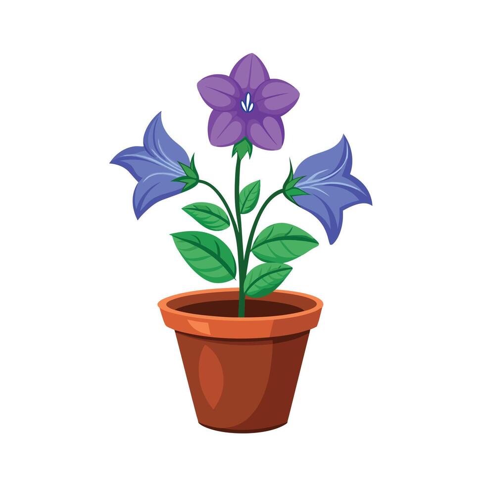 Beautiful Flowerpot Houseplant Illustration vector