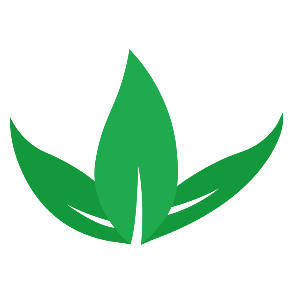plant green leaf illustration png