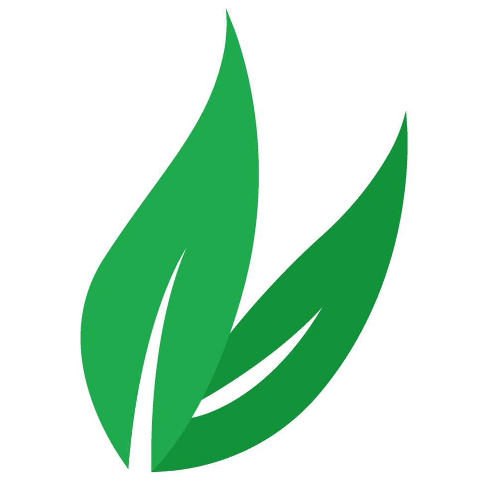 plant green leaf illustration png