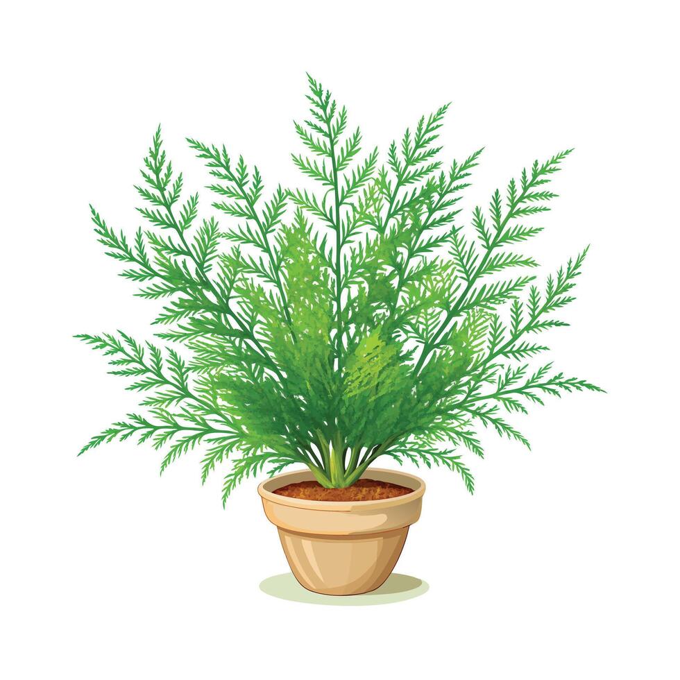 Beautiful Flowerpot Houseplant Illustration vector