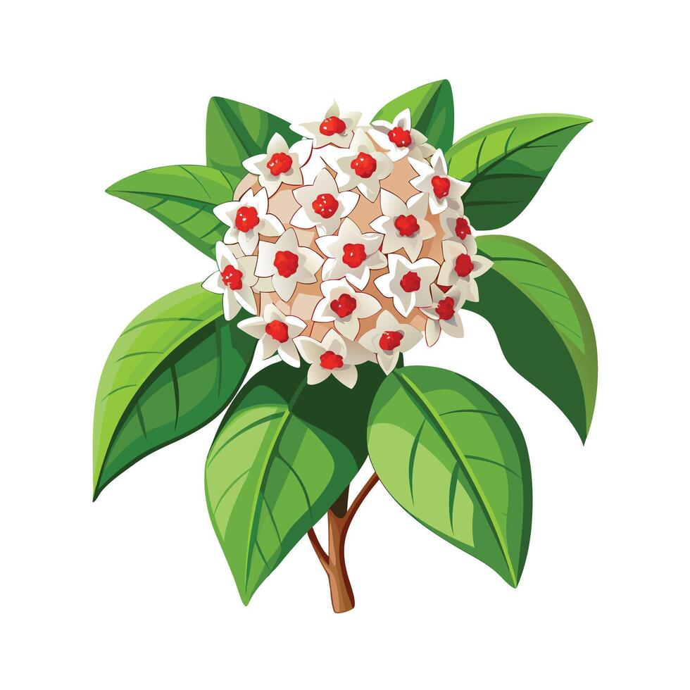 Beautiful Flowerpot Houseplant Illustration vector