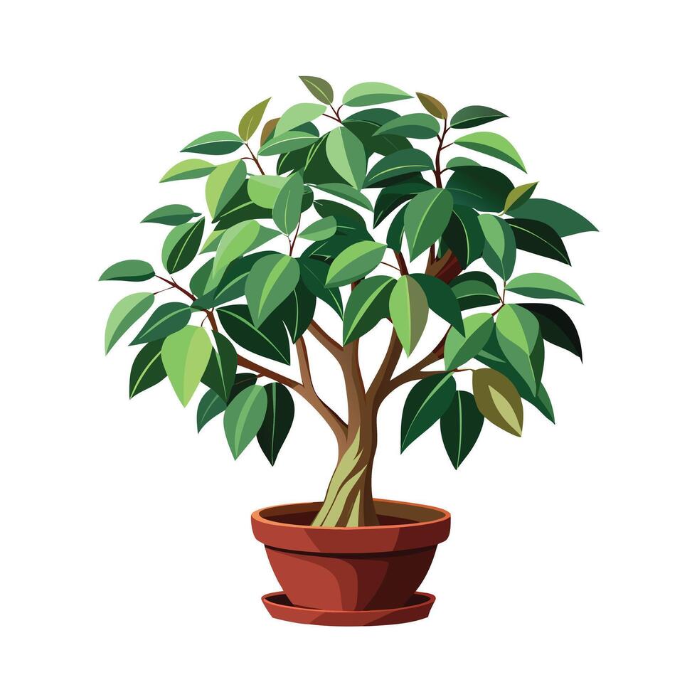 Beautiful Flowerpot Houseplant Illustration vector