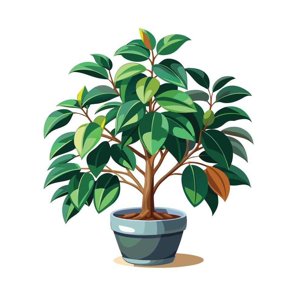 Beautiful Flowerpot Houseplant Illustration vector