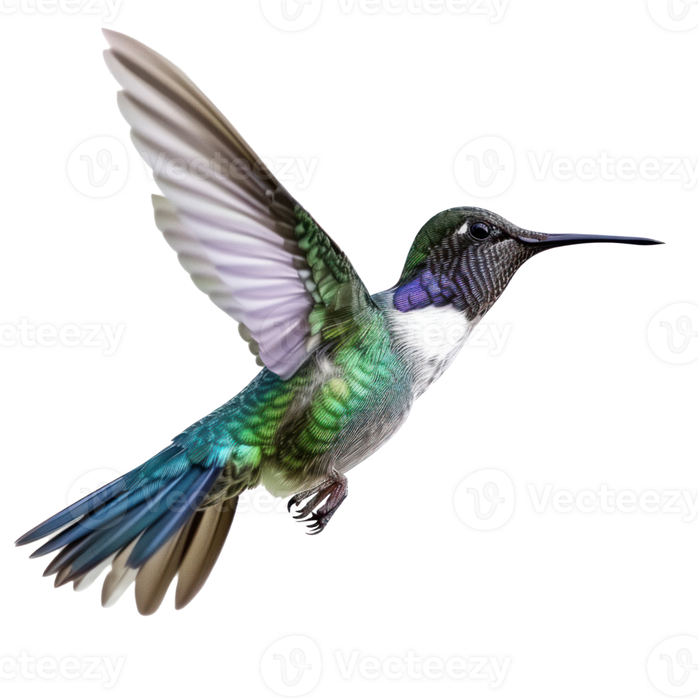 a colorful parrot flying in the air on transparent background png
