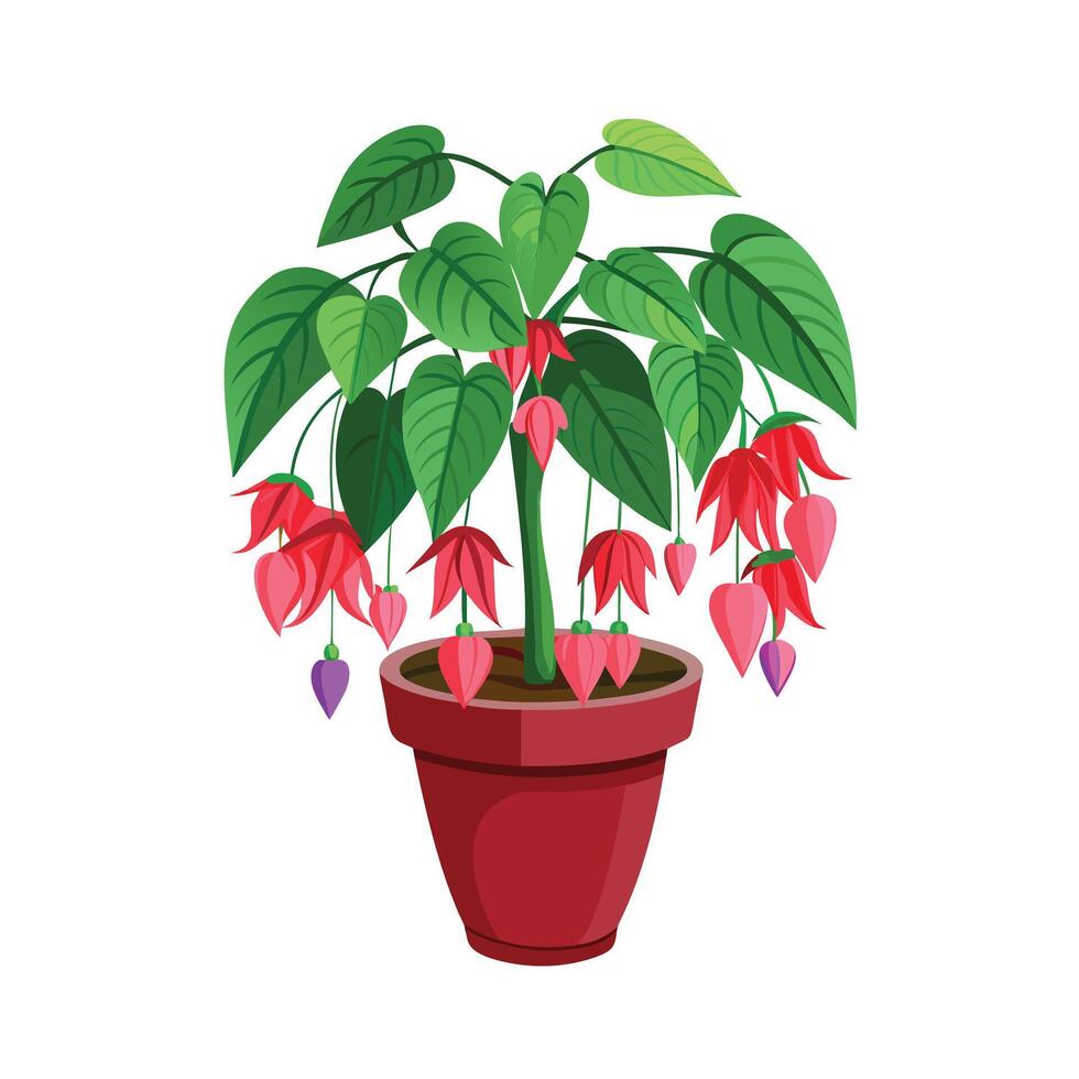 Beautiful Flowerpot Houseplant Illustration vector