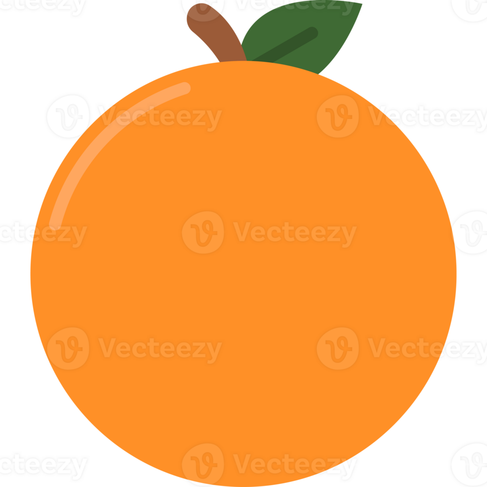 Orange Fruit Illustration Isolated Transparent Background png
