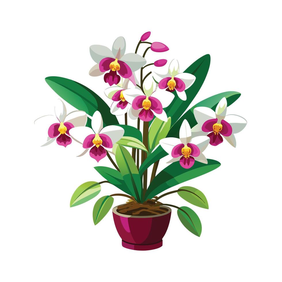 Beautiful Flowerpot Houseplant Illustration vector