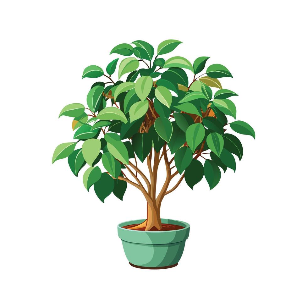 Beautiful Flowerpot Houseplant Illustration vector