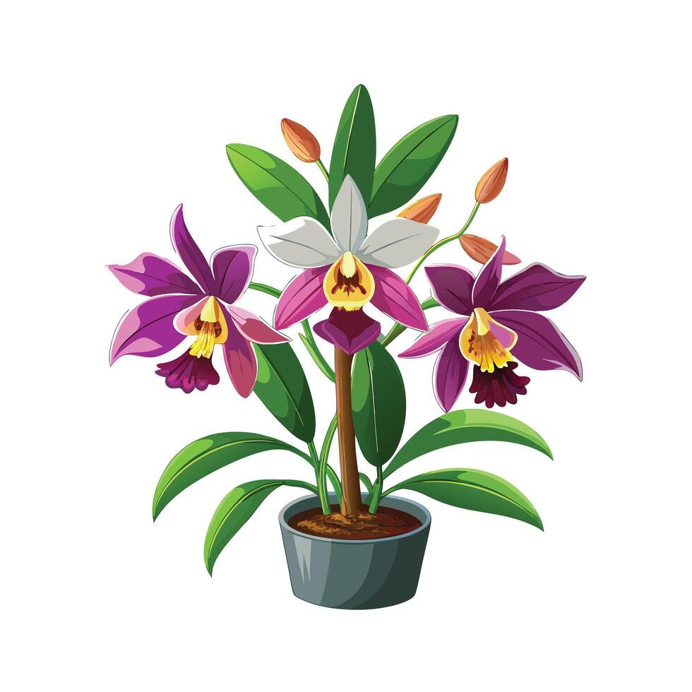 Beautiful Flowerpot Houseplant Illustration vector