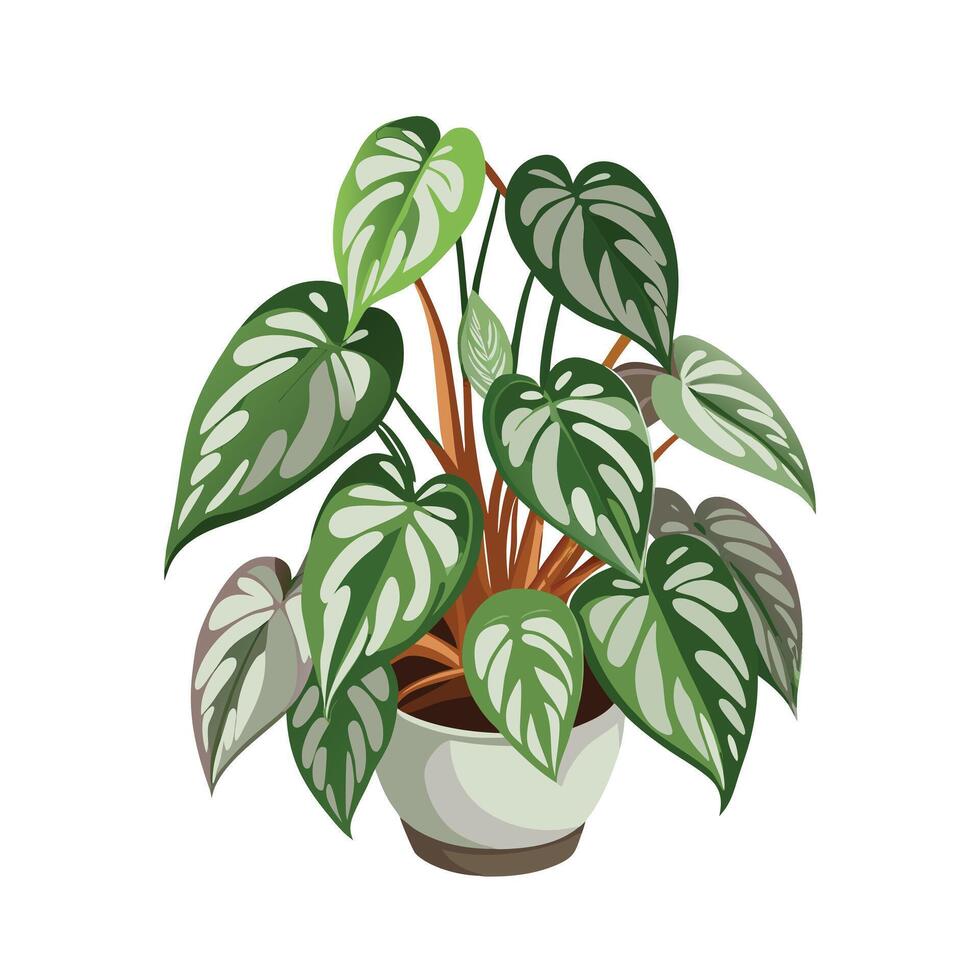 Beautiful Flowerpot Houseplant Illustration vector