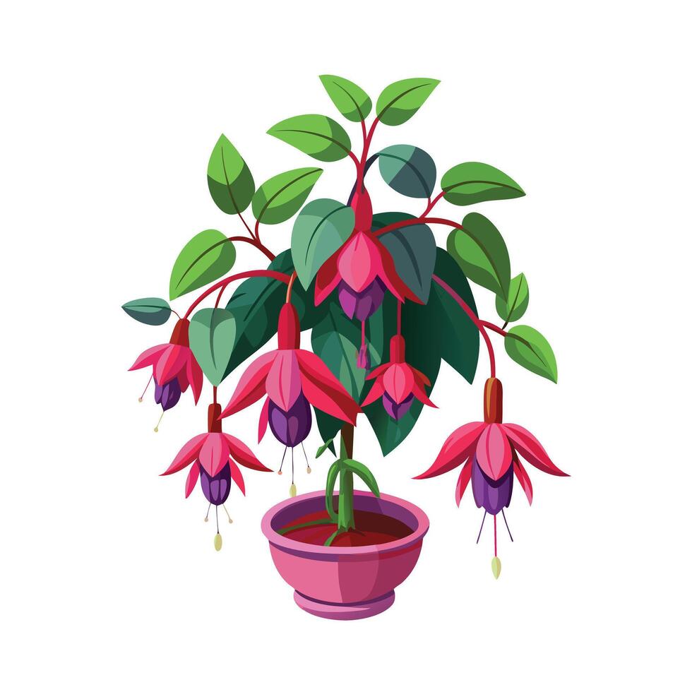 Beautiful Flowerpot Houseplant Illustration vector