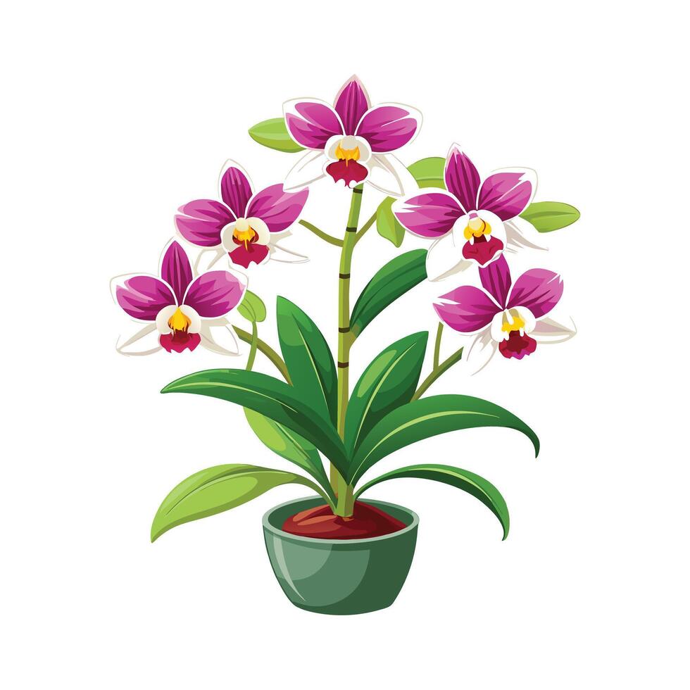 Beautiful Flowerpot Houseplant Illustration vector