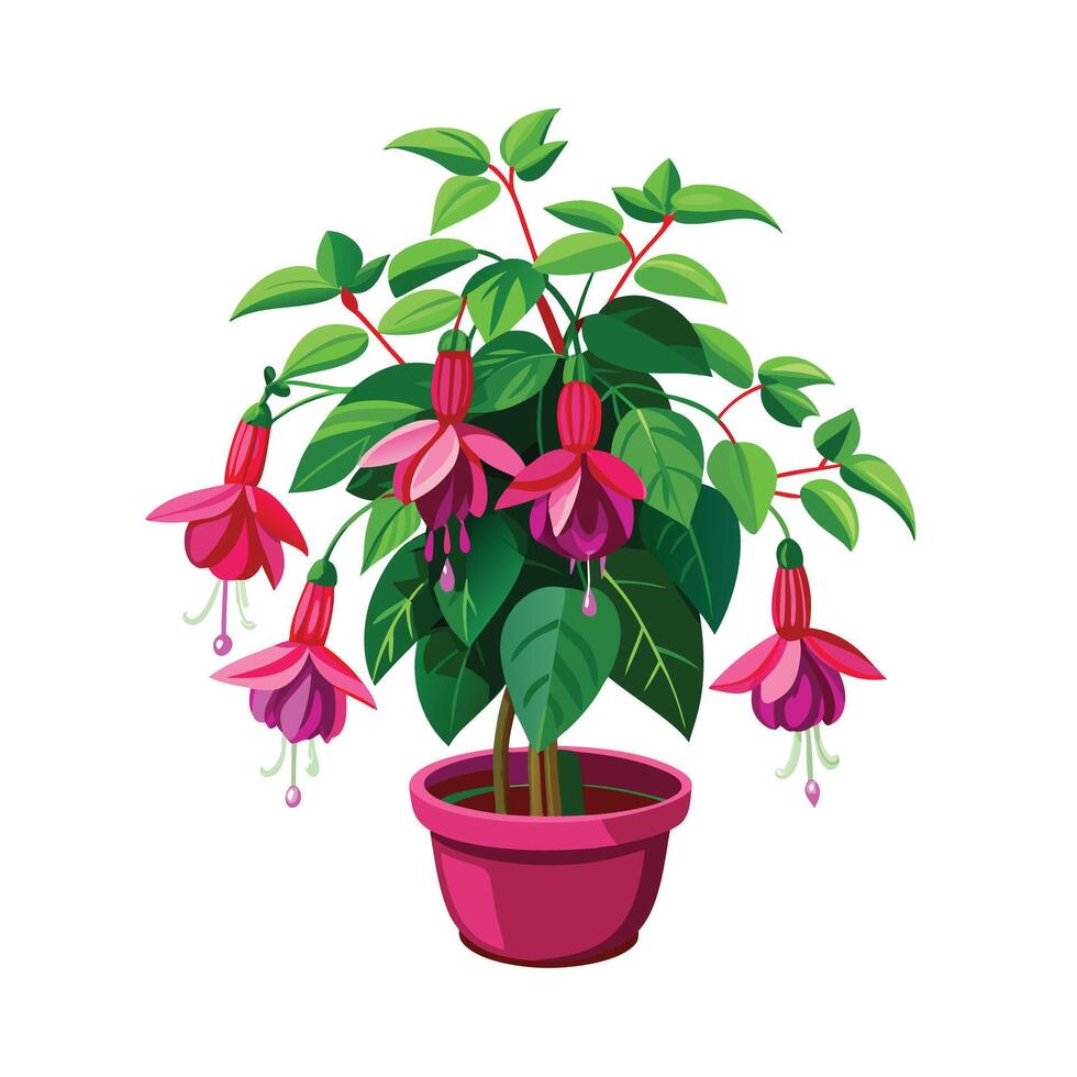 Beautiful Flowerpot Houseplant Illustration vector