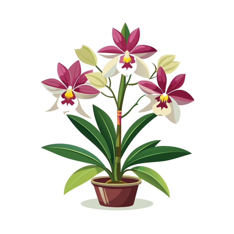 Beautiful Flowerpot Houseplant Illustration vector