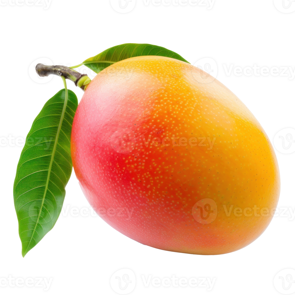 mango fruit on a transparent background png