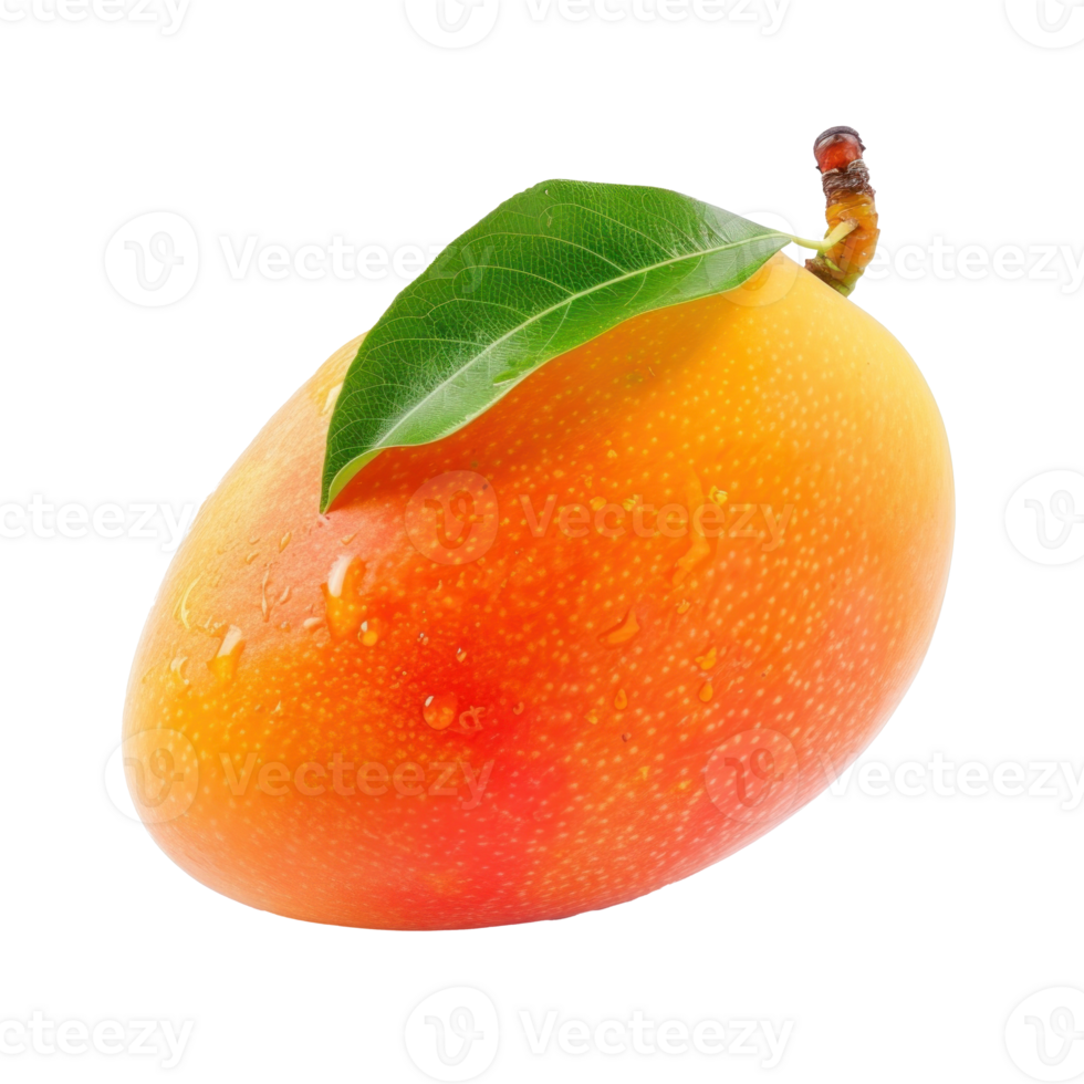 mango with leaf on transparent background png