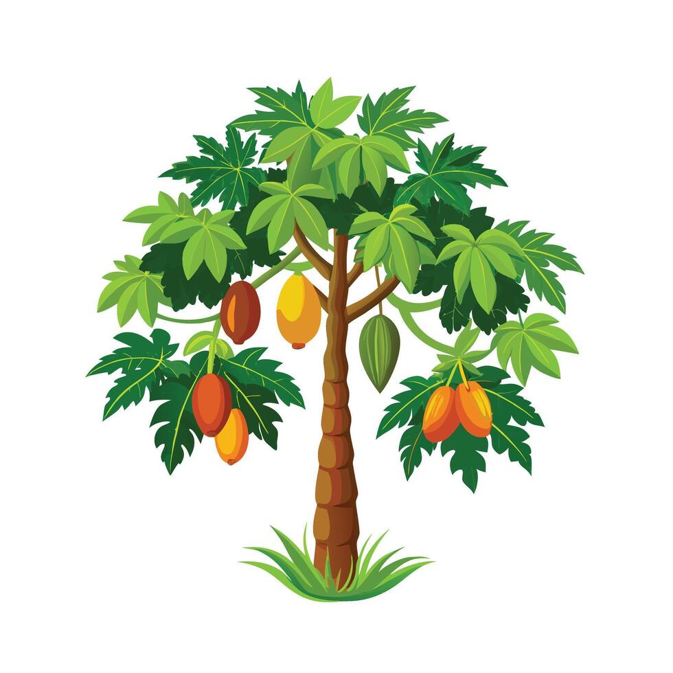 Beautiful Single Big Tree Illustration vector