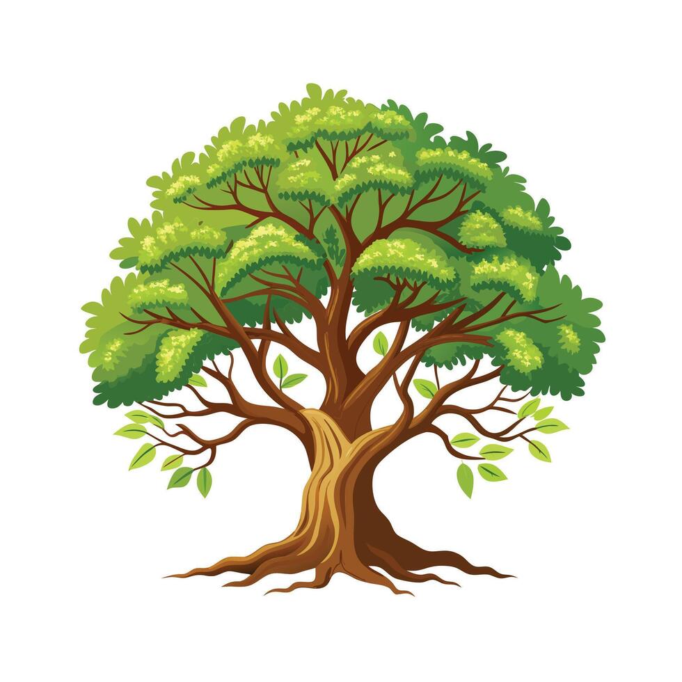Beautiful Single Big Tree Illustration vector