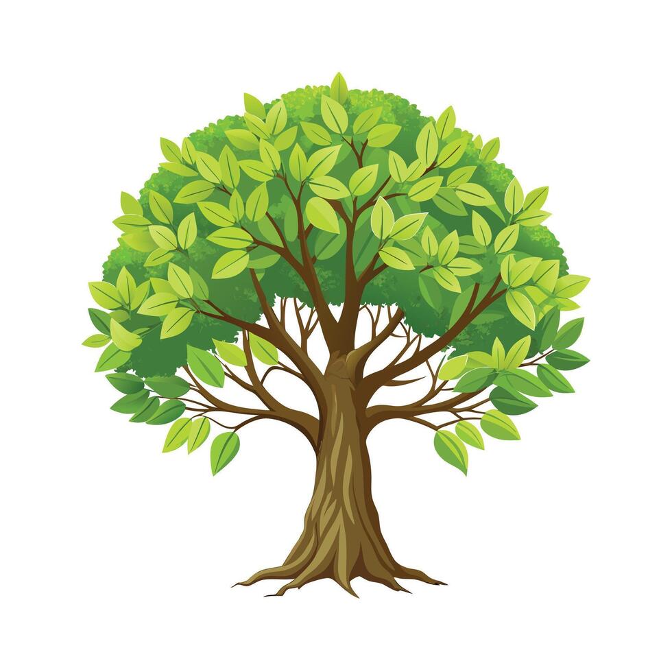 Beautiful Single Big Tree Illustration vector