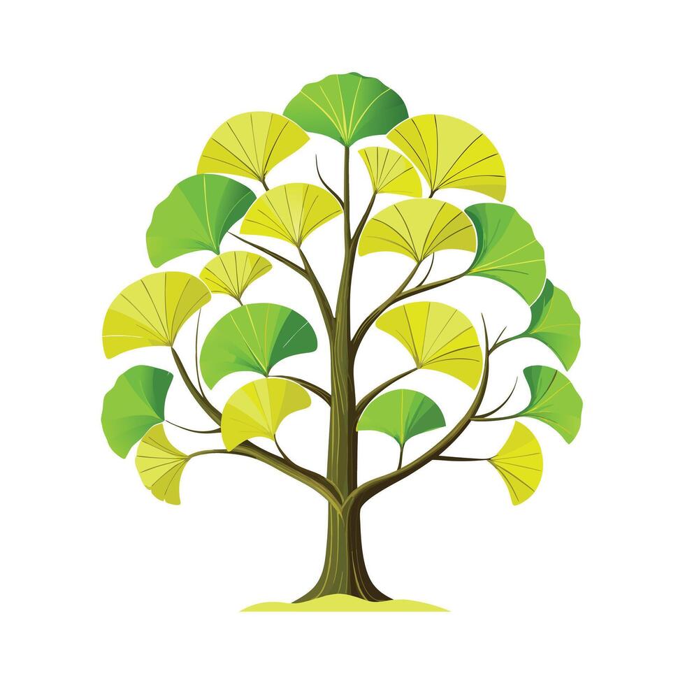 Beautiful Single Big Tree Illustration vector