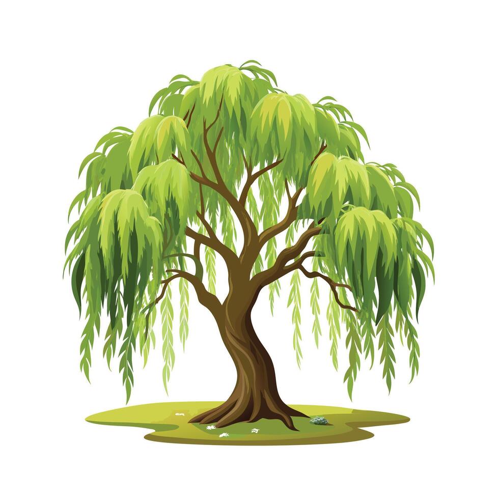 Beautiful Single Big Tree Illustration vector