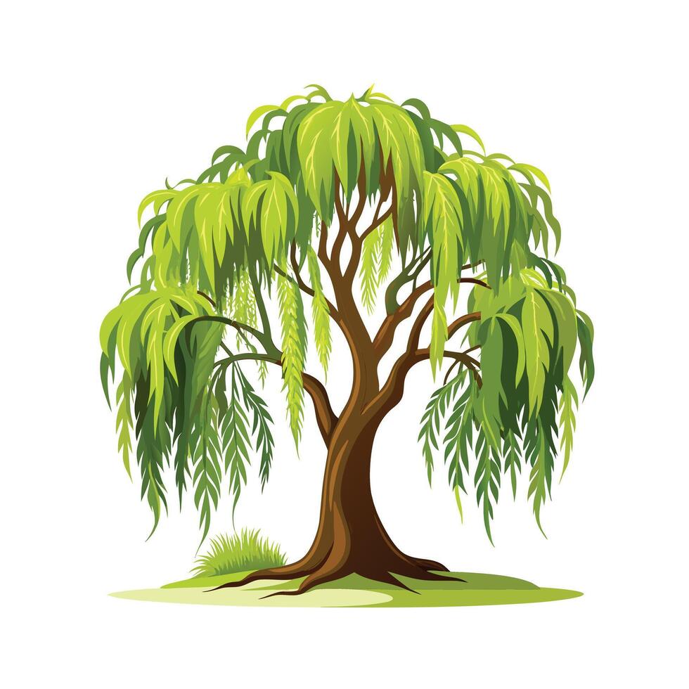 Beautiful Single Big Tree Illustration vector