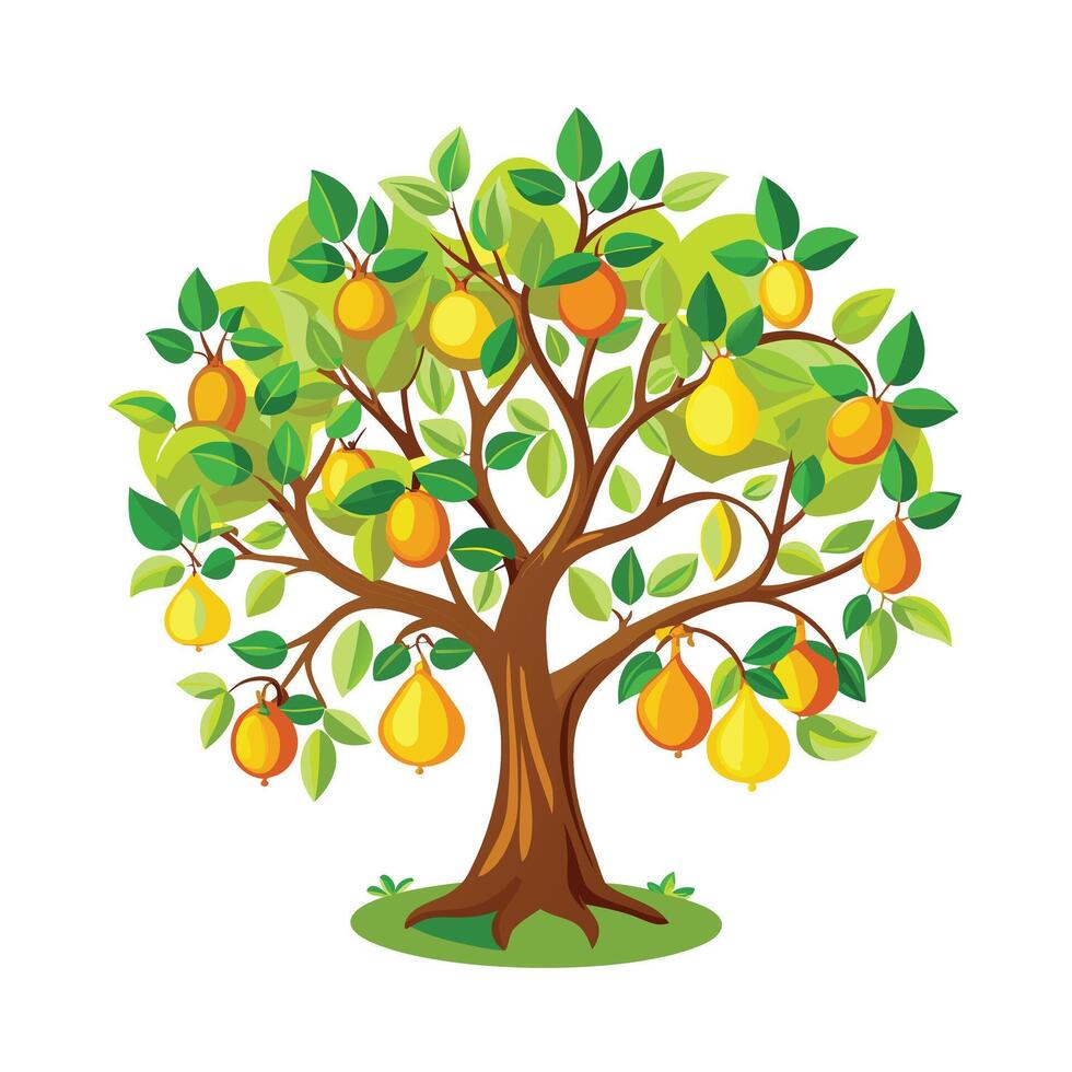 Beautiful Single Big Tree Illustration vector