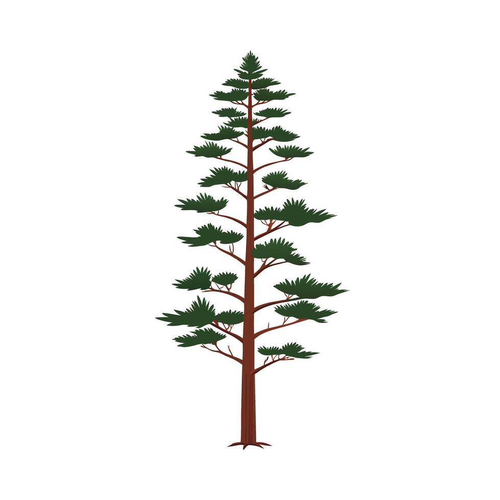 Beautiful Single Big Tree Illustration vector