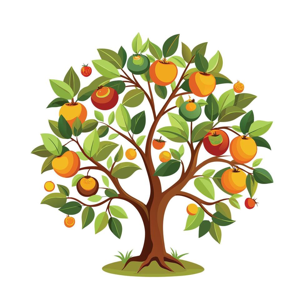 Beautiful Single Big Tree Illustration vector
