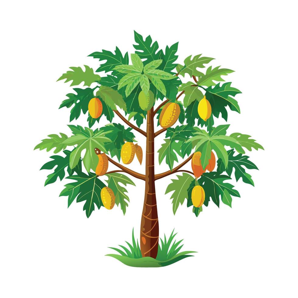 Beautiful Single Big Tree Illustration vector