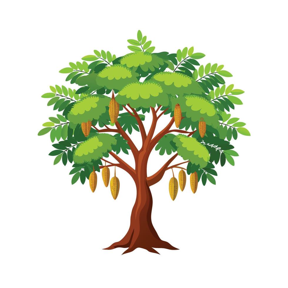 Beautiful Single Big Tree Illustration vector