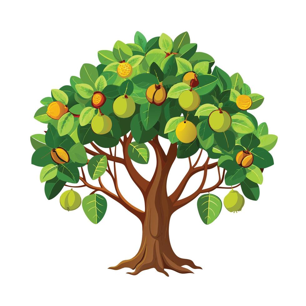 Beautiful Single Big Tree Illustration vector