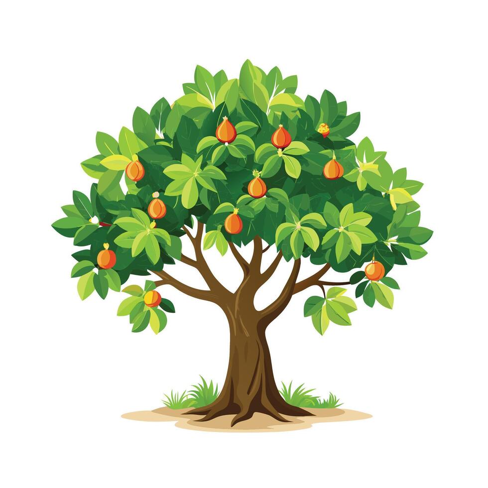 Beautiful Single Big Tree Illustration vector
