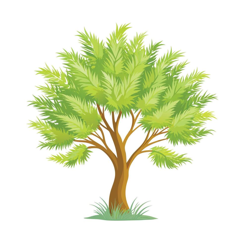Beautiful Single Big Tree Illustration vector