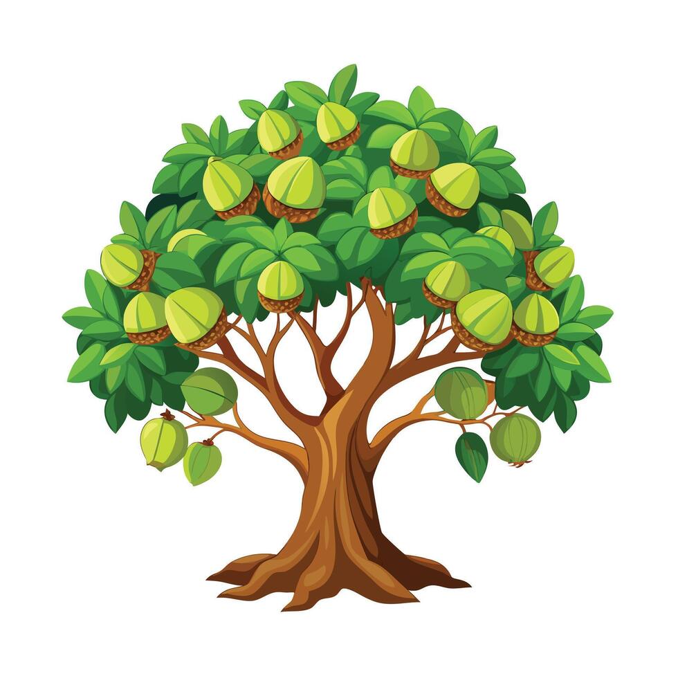 Beautiful Single Big Tree Illustration vector