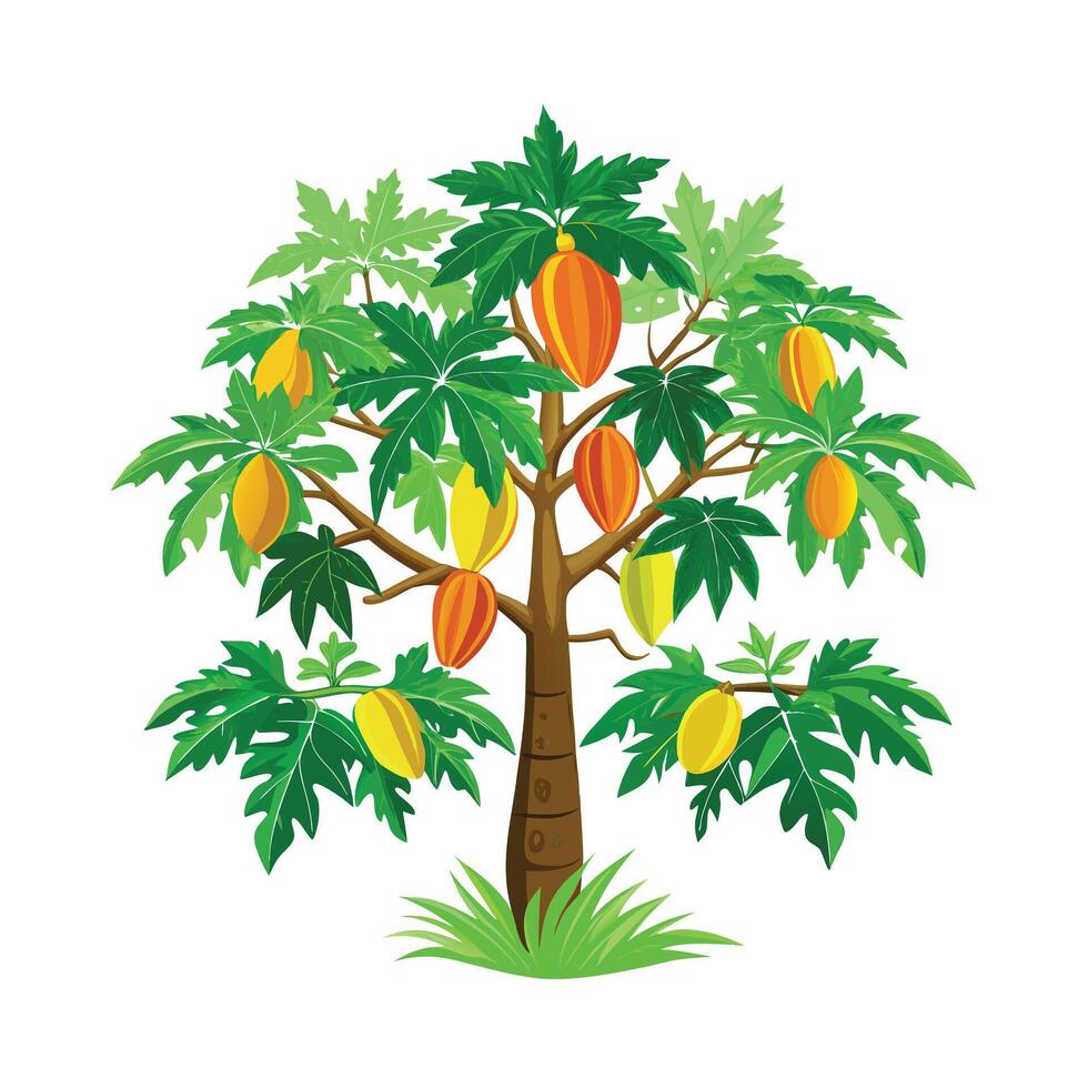 Beautiful Single Big Tree Illustration vector