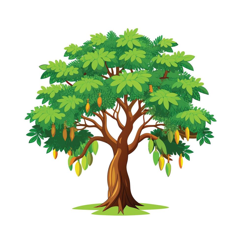 Beautiful Single Big Tree Illustration vector