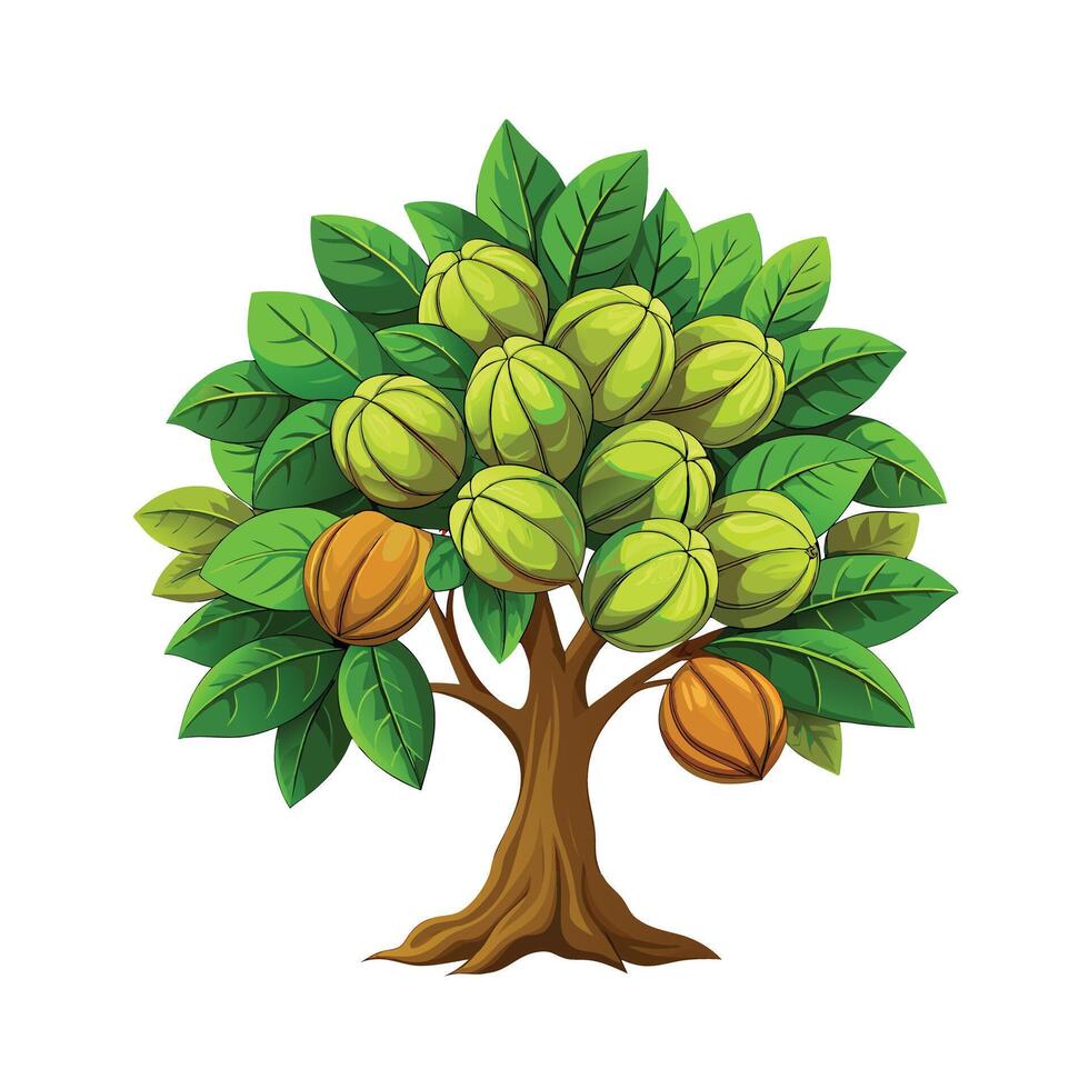 Beautiful Single Big Tree Illustration vector
